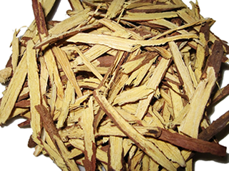  Củ gai